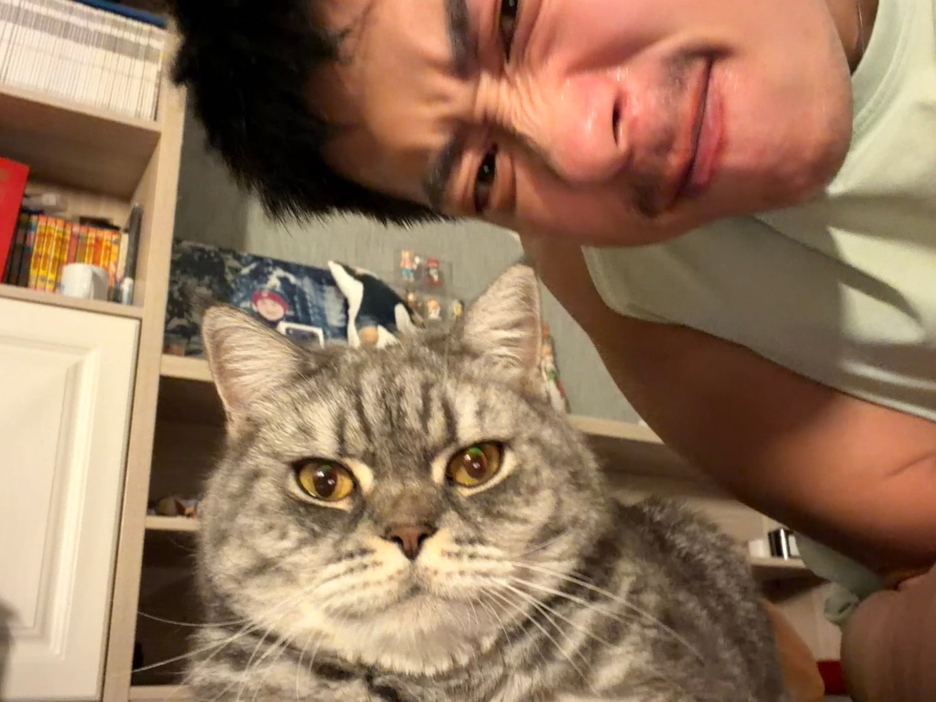 可爱的哈基米🐱麦抠抠我的日常plog