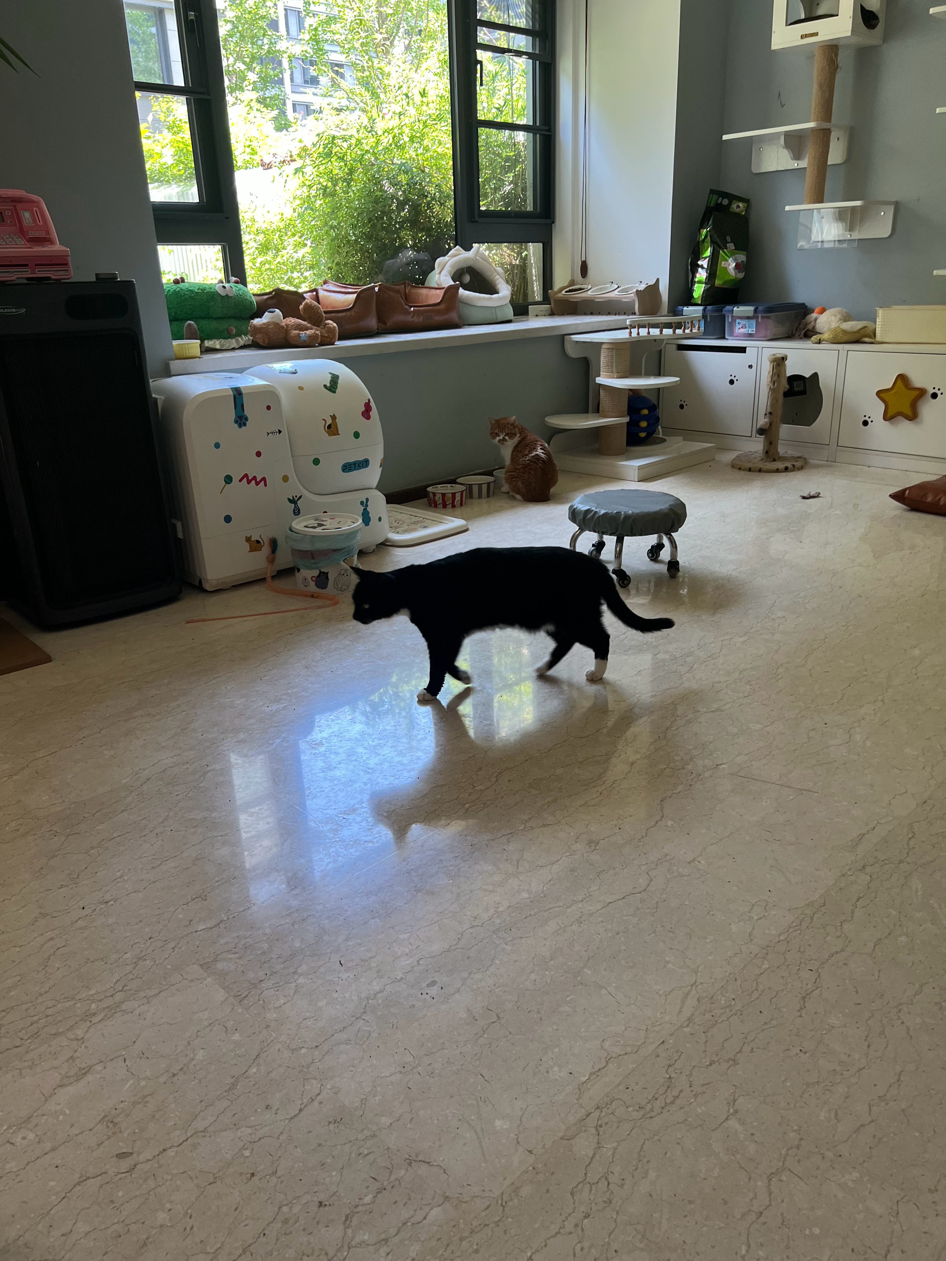 台风将至，黑猫警长开启家庭安全常态化巡逻模式并实时监测家庭成员的行动轨迹，确保不
