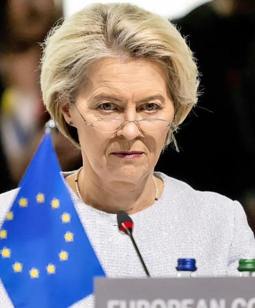 一针见血啊！奥地利前外长克奈斯尔认为在欧盟主席冯德莱恩等人的带领之下，欧盟正在逐