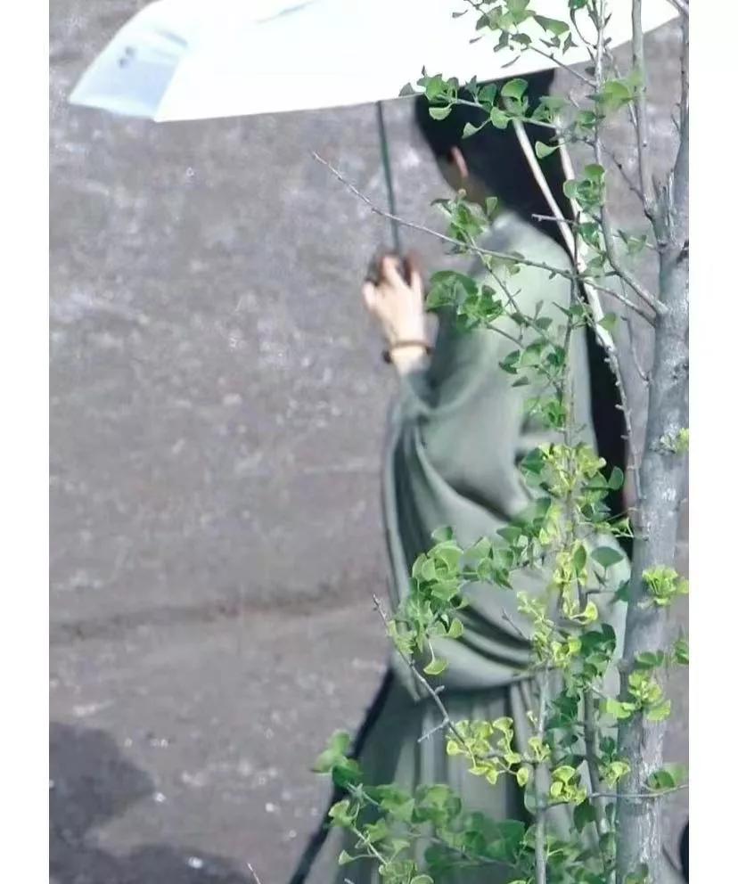 我的《莲花楼》后遗症是…
只有李相夷的身体好李莲花和成毅都有毒
因为成毅演李莲花