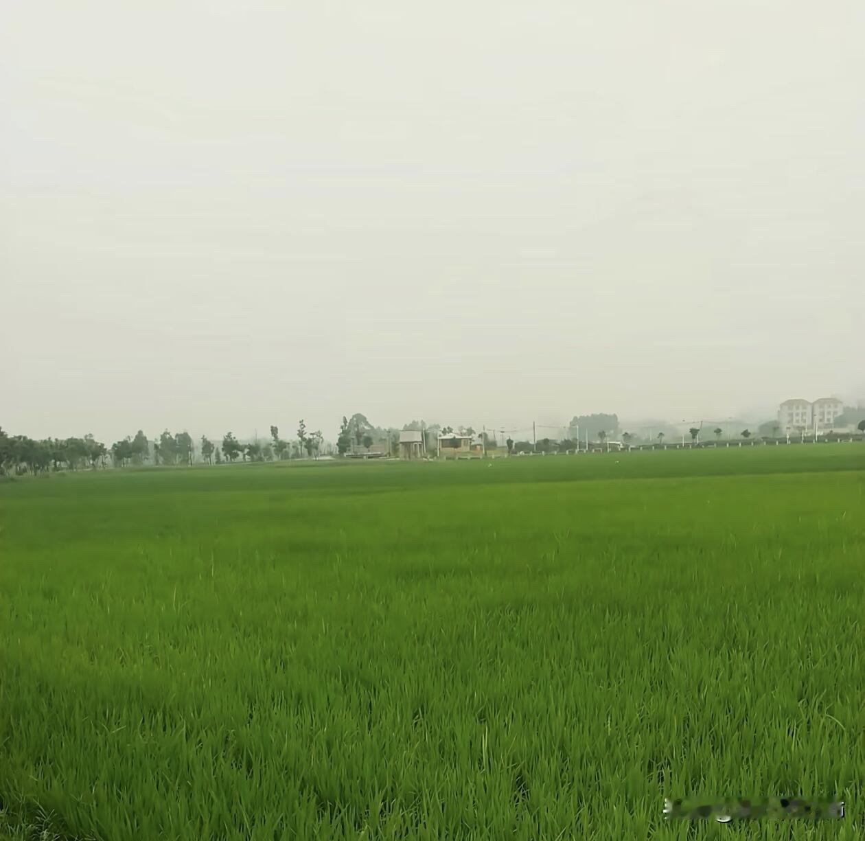 闺蜜失业大半年了。蕞大的变化就是我不聯系她，她绝不会聯系我了。
	
以前我们出去