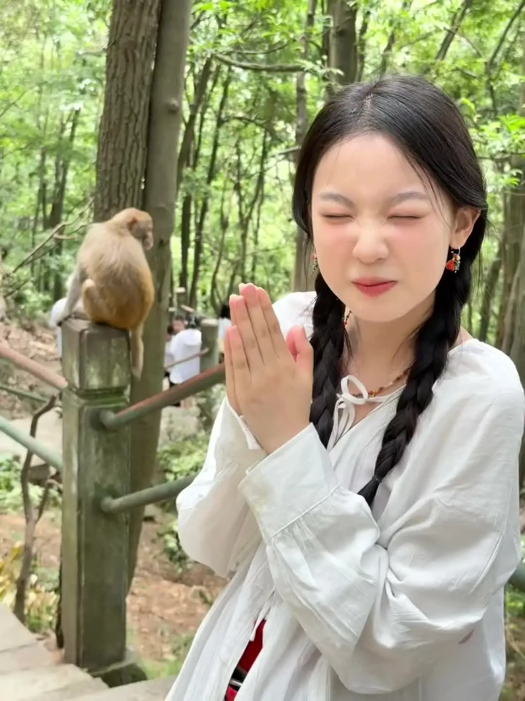 猴哥 求求你别揍我 洋芋国