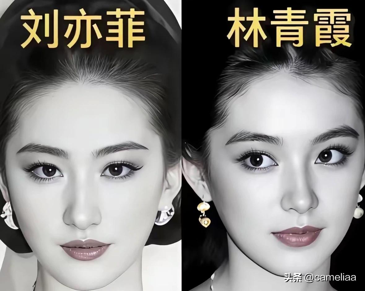 林青霞VS刘亦菲
同是惊艳时代的绝色
一个江湖洒脱
一个书香养出仙骨

很多人总