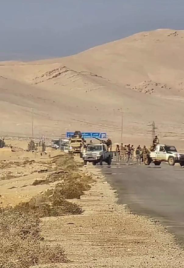 叙利亚HTS当局内政部发言人努尔丁·巴巴在12月13日表示：“在叙利亚帕尔米拉附