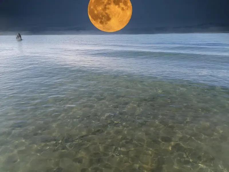 上：天上棉花难做被，
下：水中月饼不能食。