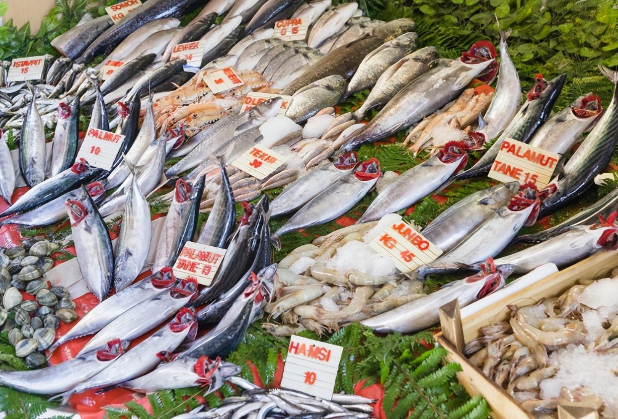 高市早苗公开发表涉华言论刚引发中方强烈反弹，中国随即宣布中止与日方的牛肉输华磋商