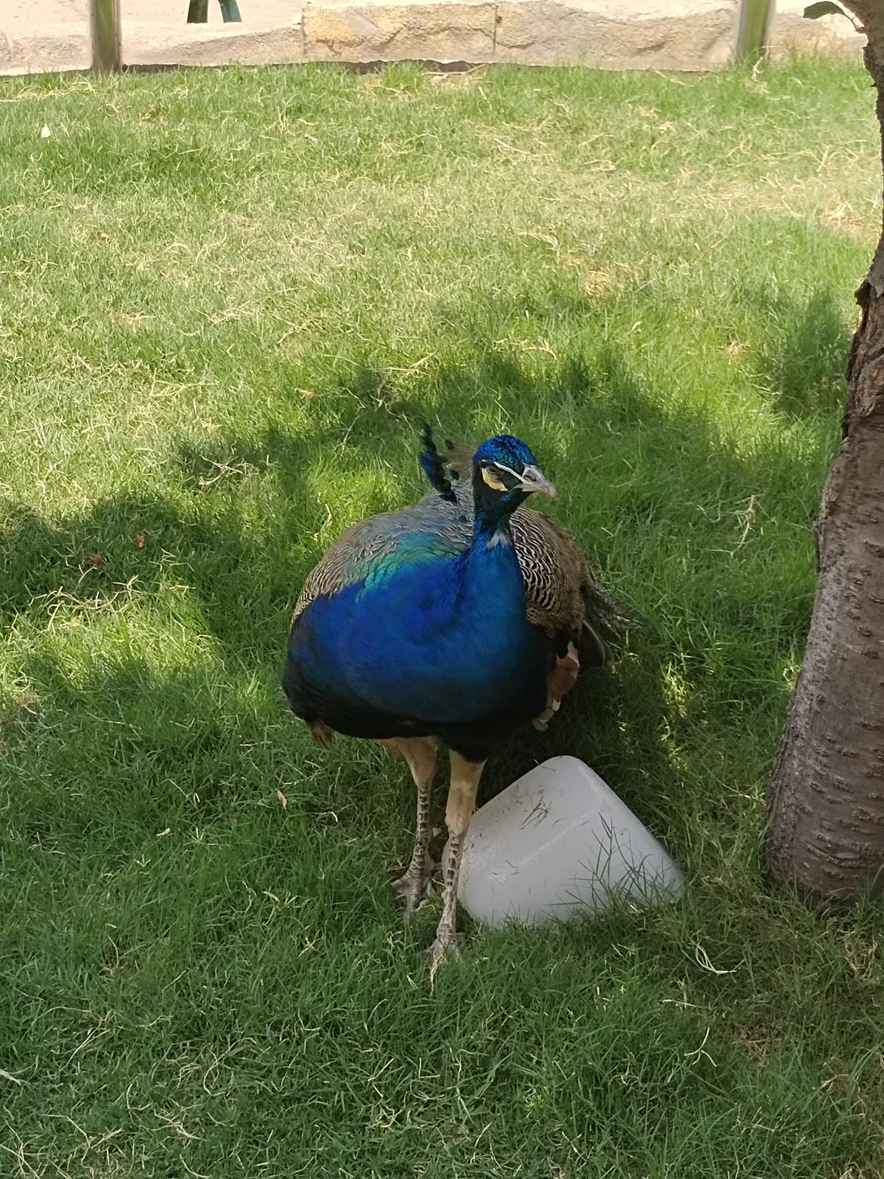 发一张你相册最近拍的花