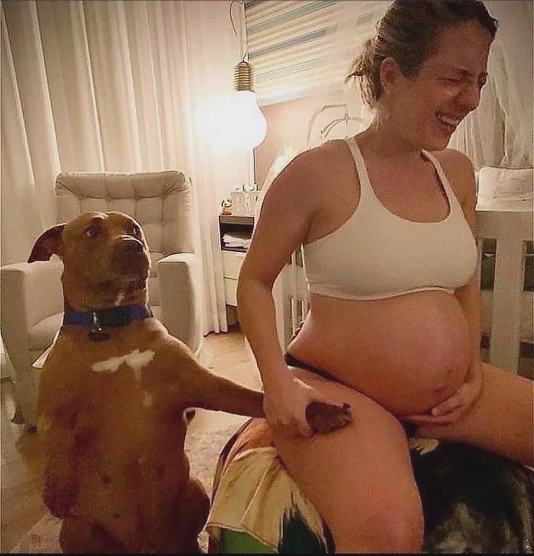 🐶迷惑图