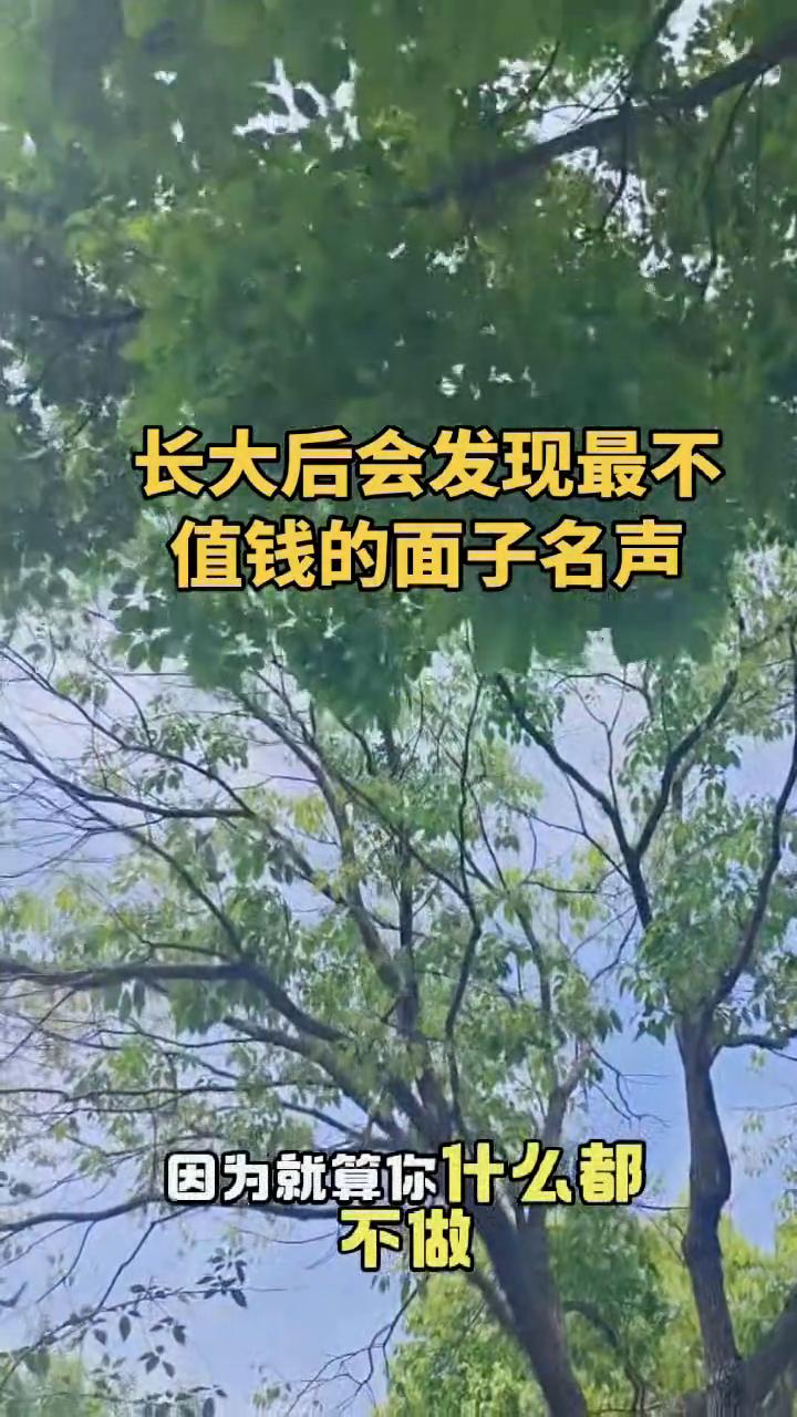 长大后会发现最不值钱的面子名声。
长大后才发现最不值钱的就是名声，因为就算你什么