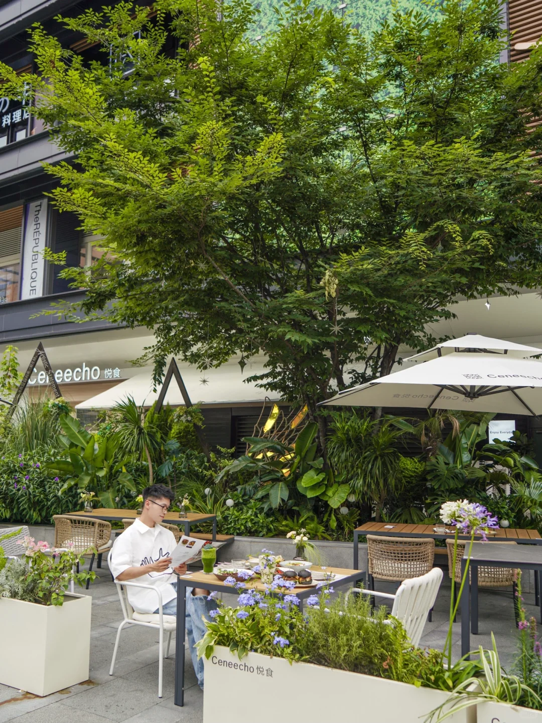 成都新店！在大树下吃brunch！自带森系感餐厅