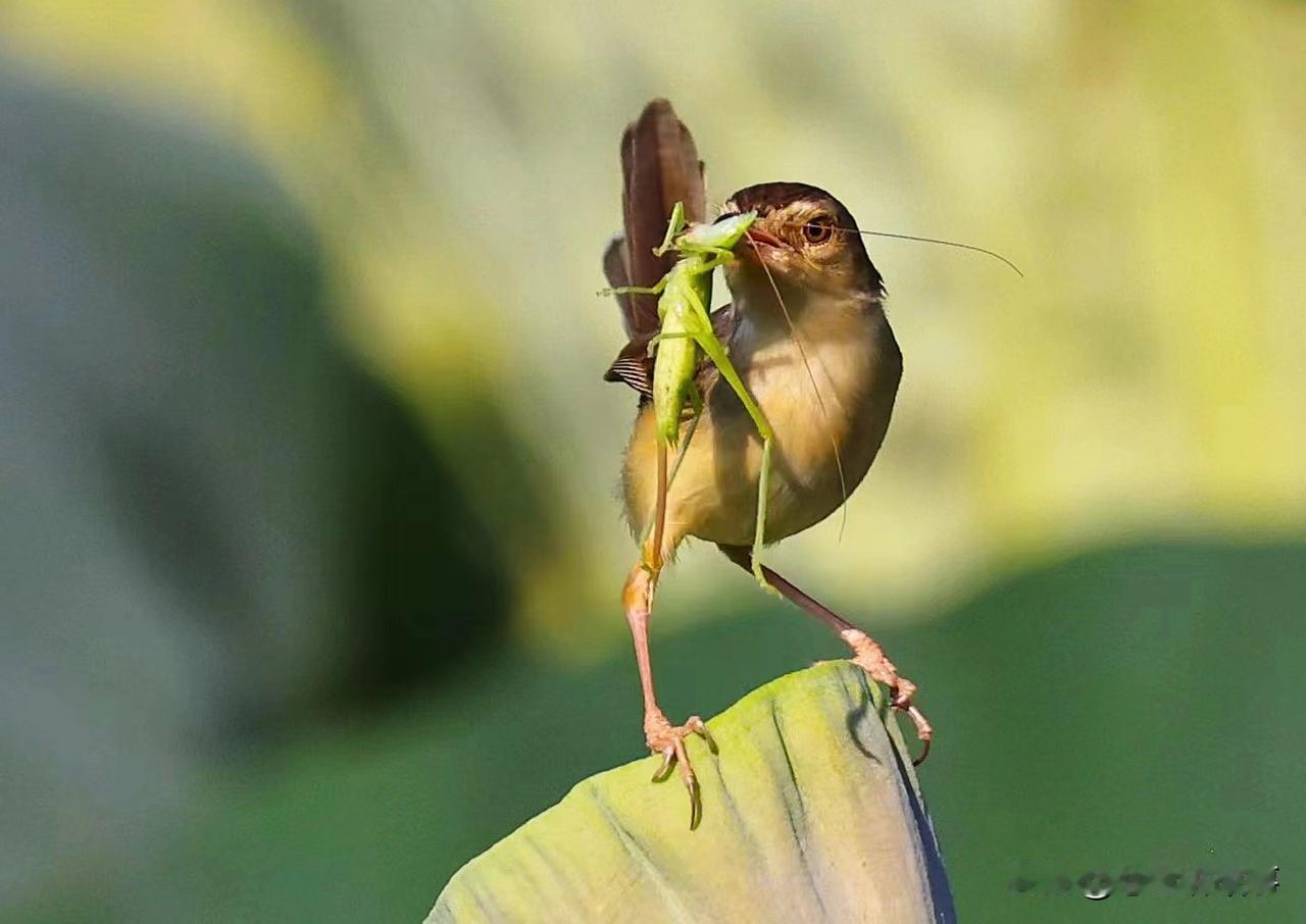 日有所思/每个人都不完美，这个论点没有例外（2025-12-2）

每个人都不完