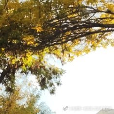 阳光信用[超话] 日行一善 贵在坚持 可以是随手捡起地上垃圾 也可以是一句孤立的