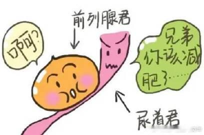 【男人的4个行为，会让前列腺“不堪重负”，别太放纵了】科普大作战 健闻登顶计划 