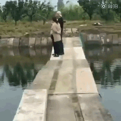 走路看手机的狗。。 . ​​​