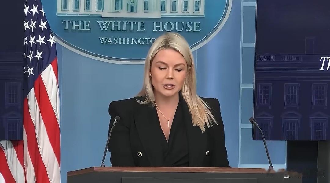 白宫新闻发言人卡罗琳·莱维特抒情式赞美特朗普:“总统在混乱中保持冷静，尤其是在又