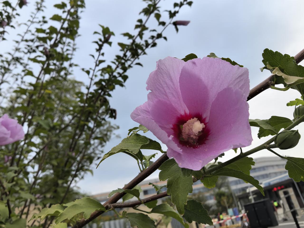 退休一年小结一下
      时间过得真快，转眼退休快一年了。
     去年这