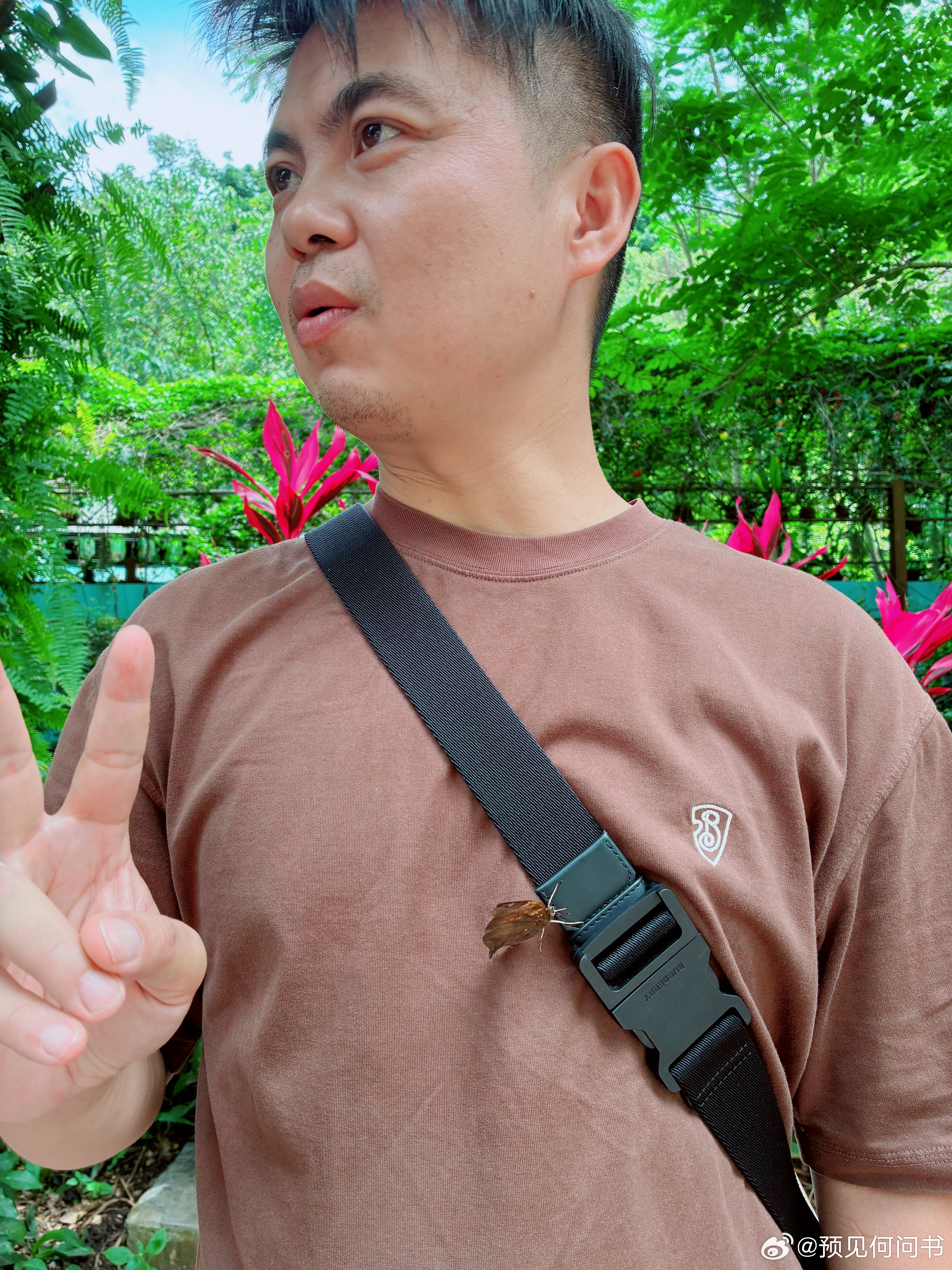 蝴蝶自然飞到身上，这是什么寓意？蝴蝶上身！ 