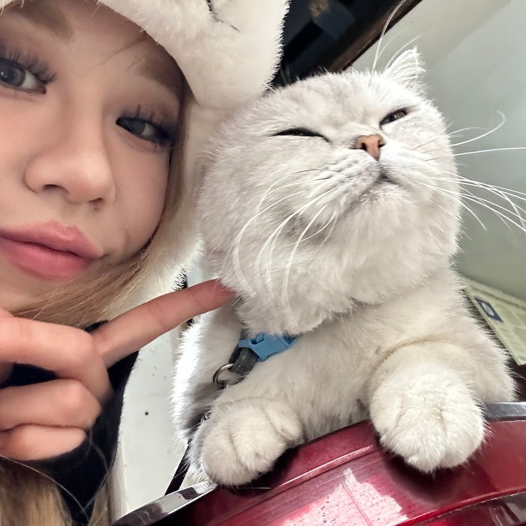小小小动物日🐼🐻🐈🦜👅👅 ​​​