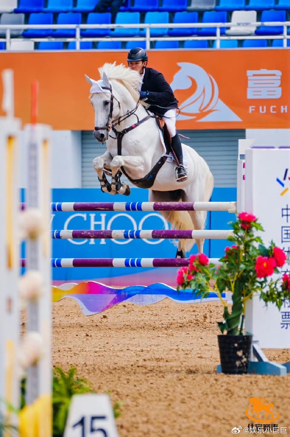 桐庐3月马术三赛连发桐庐再迎马术盛宴120匹骏马同场竞技谁能拒绝三月的桐庐马术盛