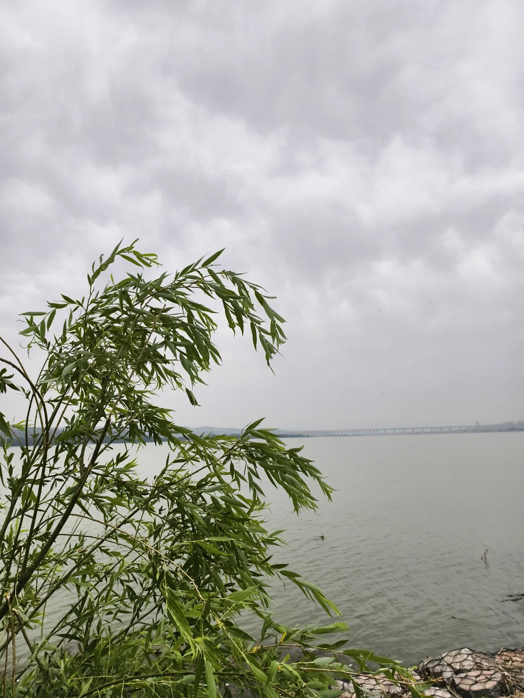 听风，看水，发呆