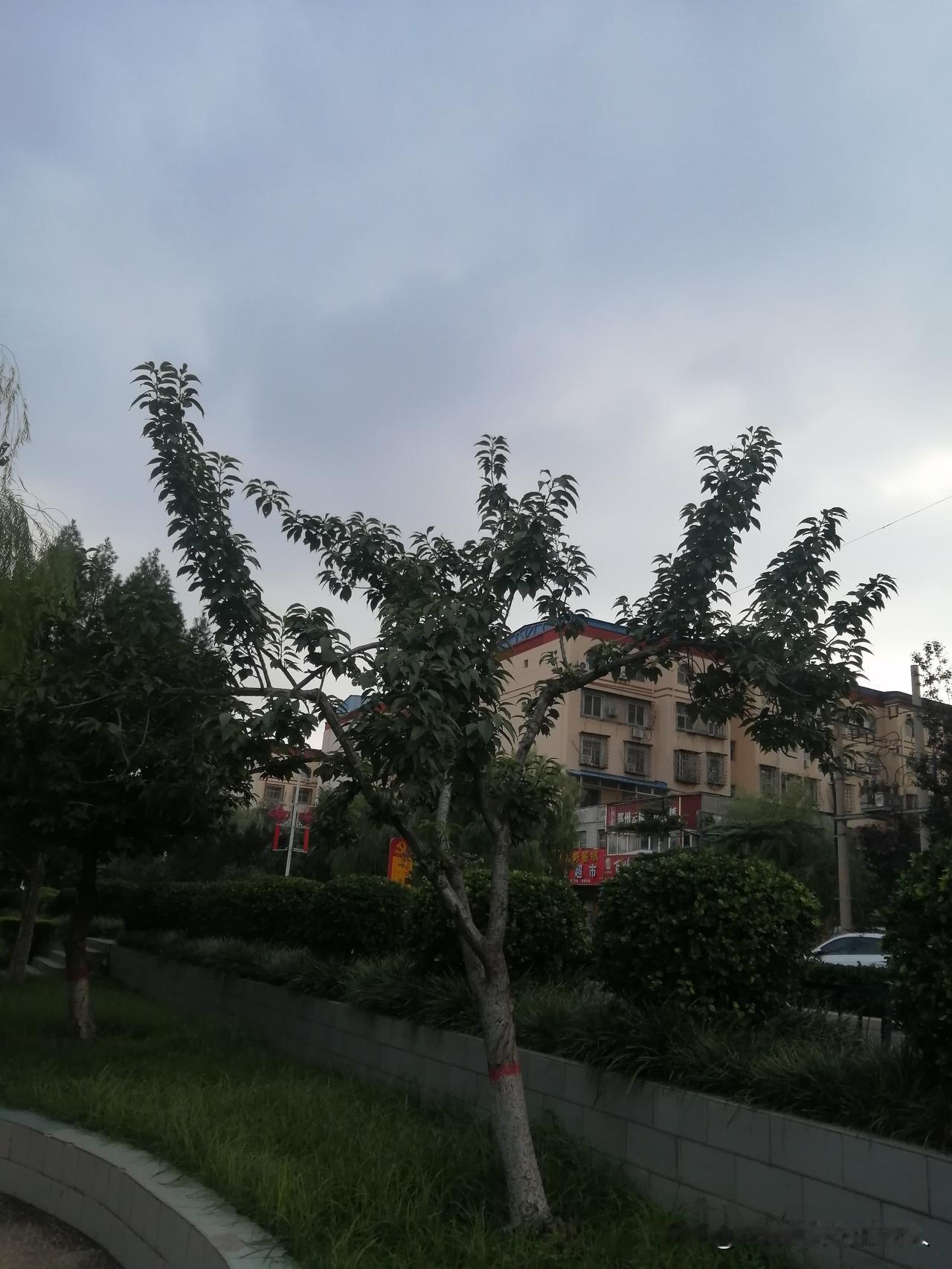 幸福的人生没有统一模板，但大多藏在“小事满足”和“内心自洽”里——可能是下班回家