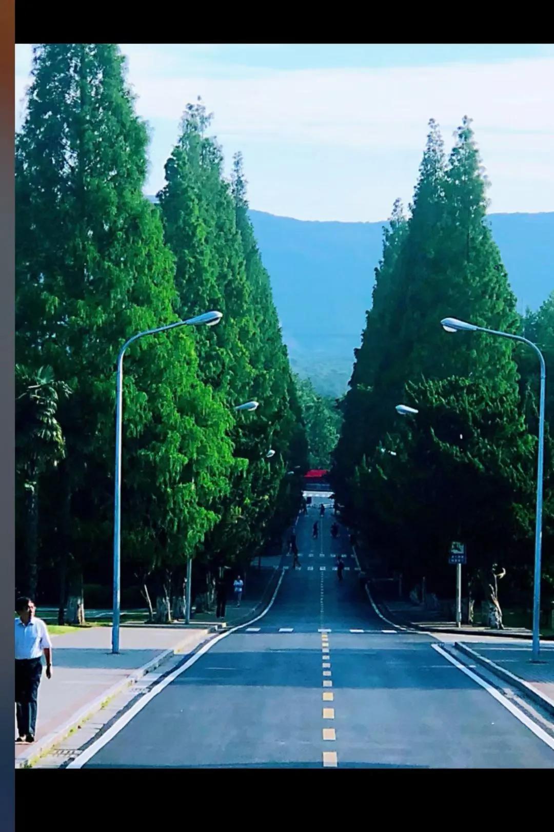 南京话与白局（顾焕章）

  在我九十多年的人生中，有七十年生活在南京（1956