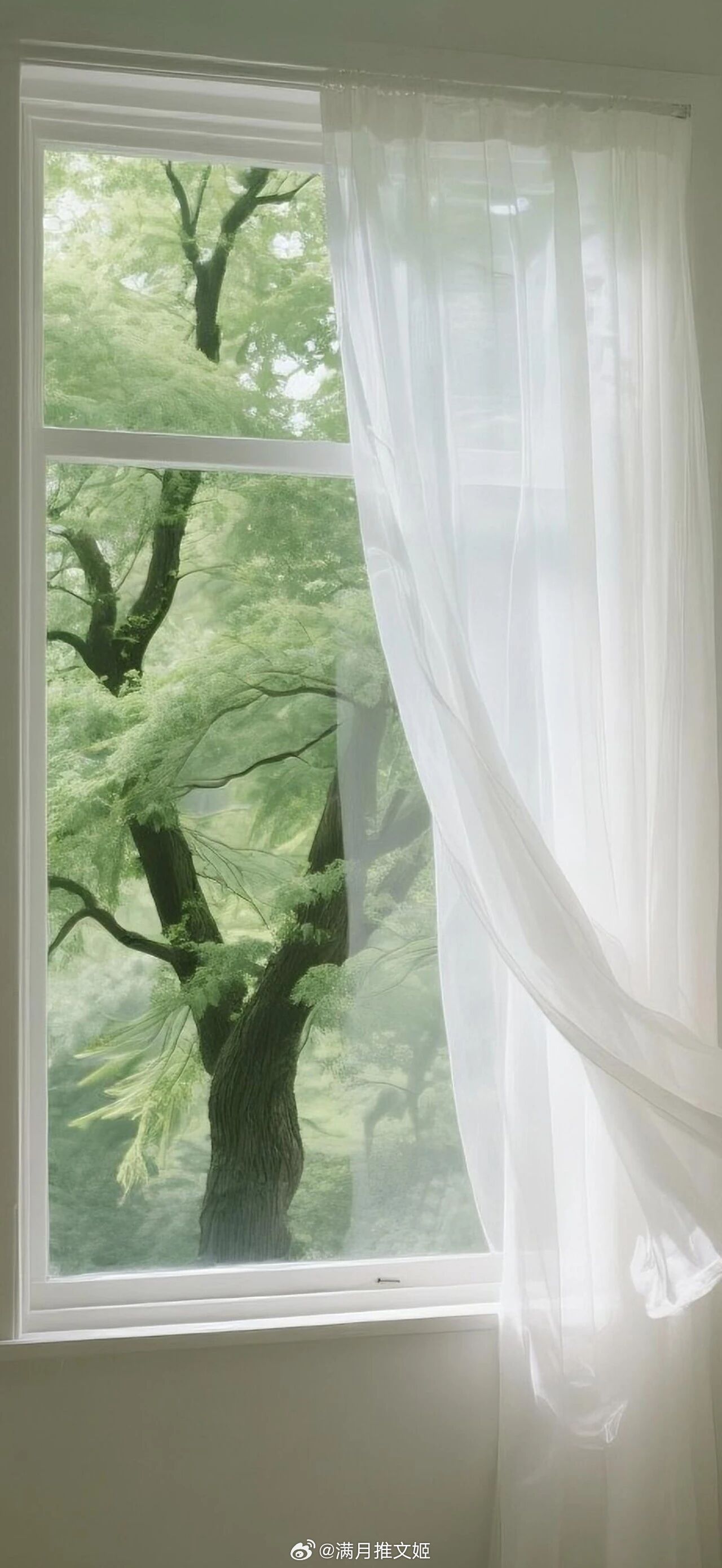 我们要有最朴素的生活，与最遥远的梦想。即使明日天寒地冻，路远马亡。——七堇年《被