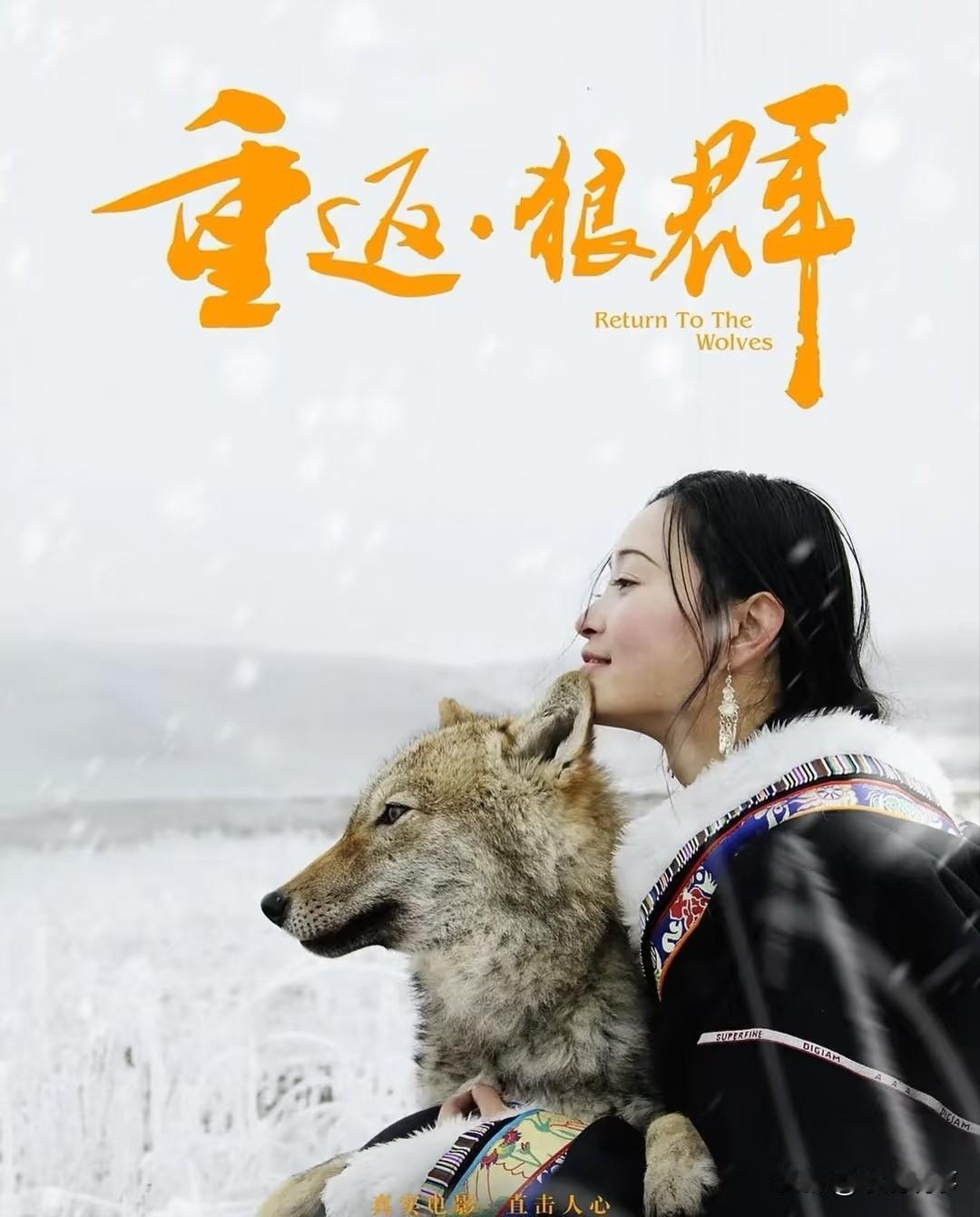 听我一句劝，
别去看《重返狼群》
不是片子不好看，是看完之后心里堵得慌，怎么都放