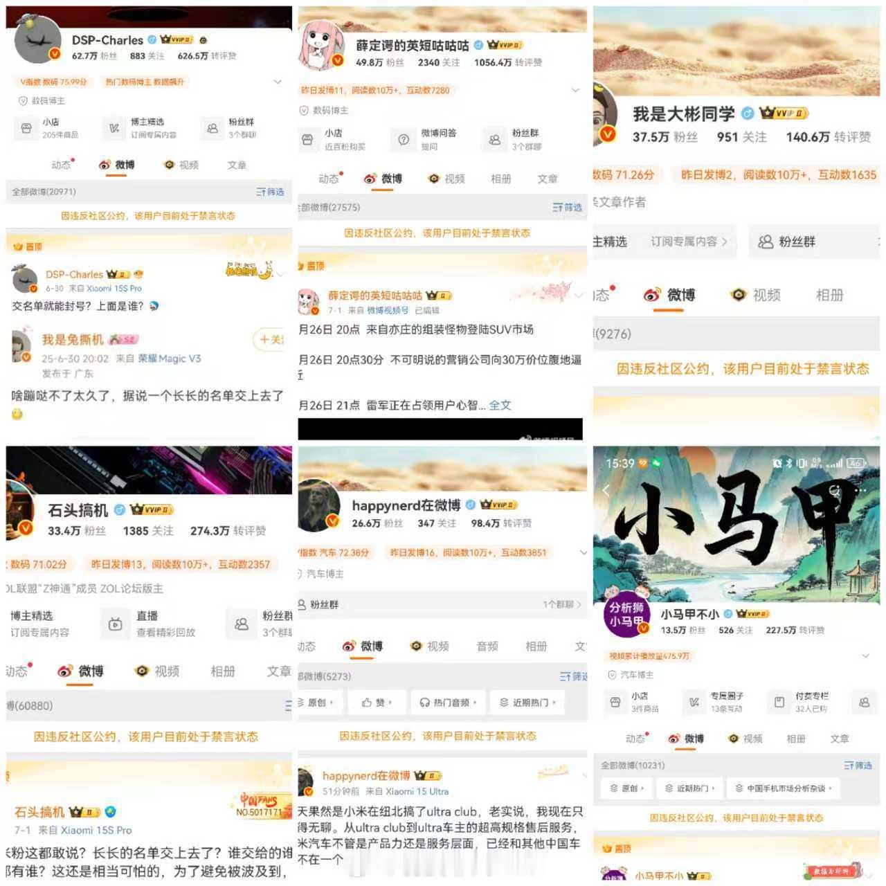 大彬同学被禁言 夸友商，就认定你是被友商收买的人；贬企业，就认为你是恶意黑，以后