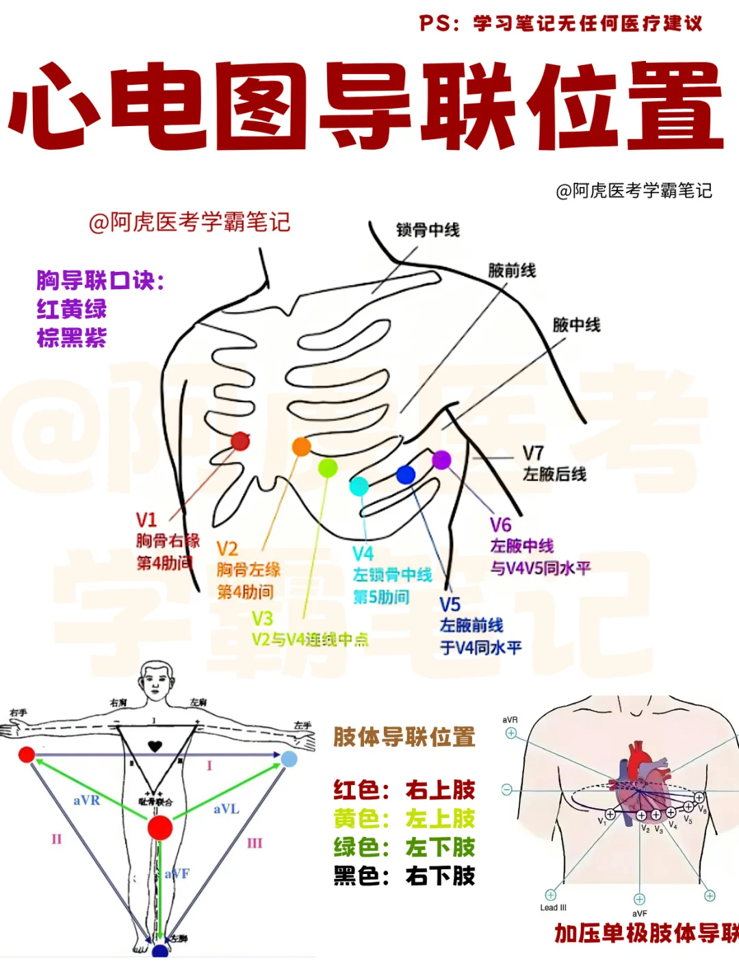 医学生笔记📒：心脏导联位置👆