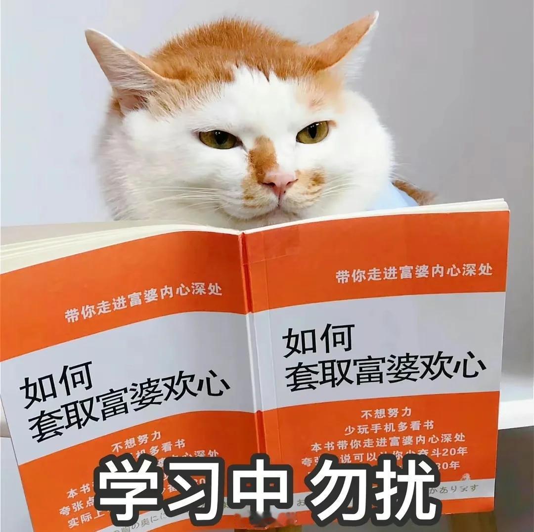 没错，这个国庆长假我确实找到了人生新方向！ ​​​