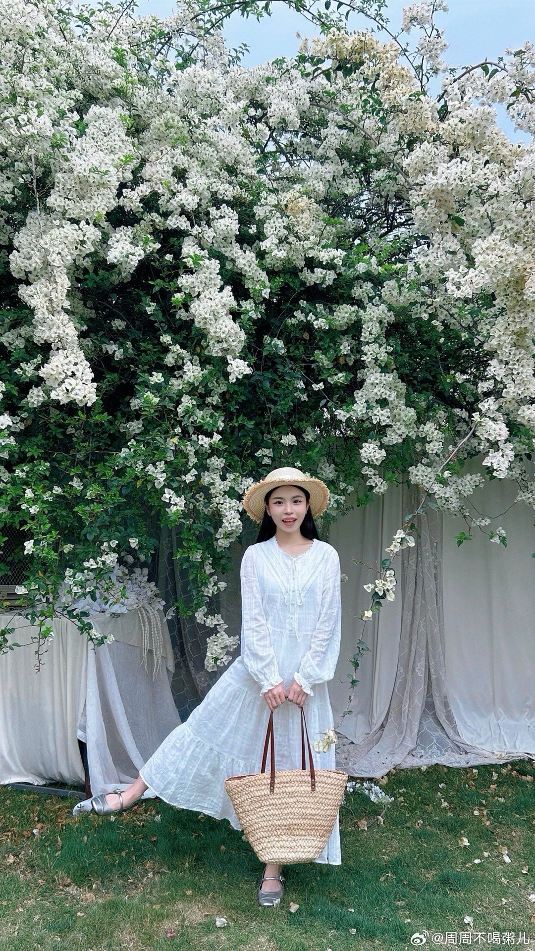 走进花园里🌷 东莞