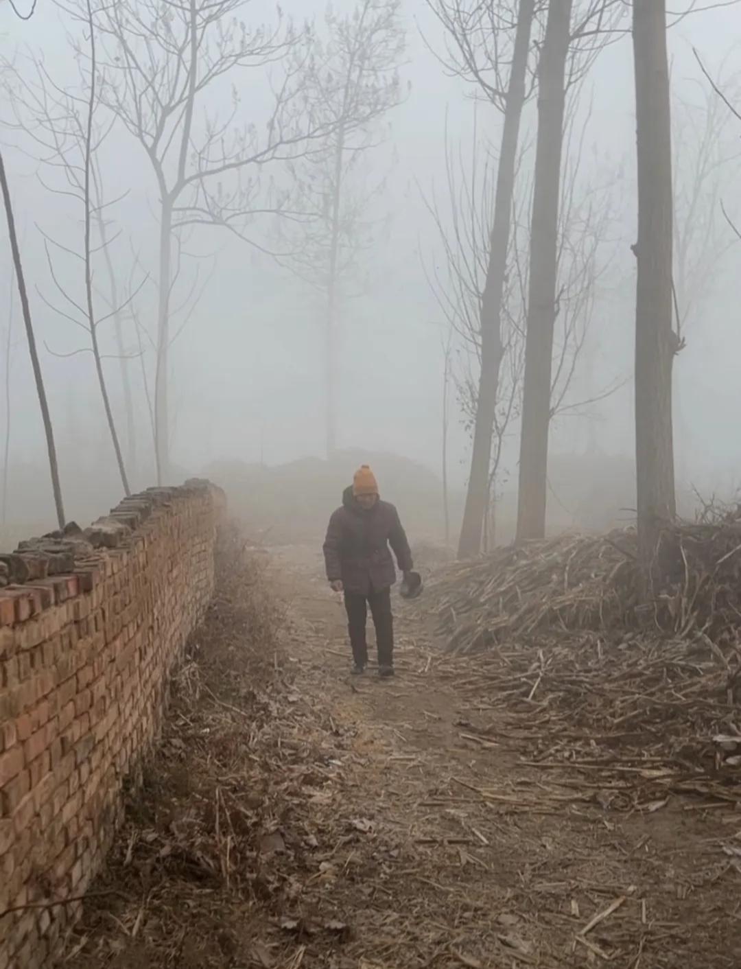 提醒大家一句
请大家心理有个准备
明天，也就是1月17号，就正式进入四九天了，一