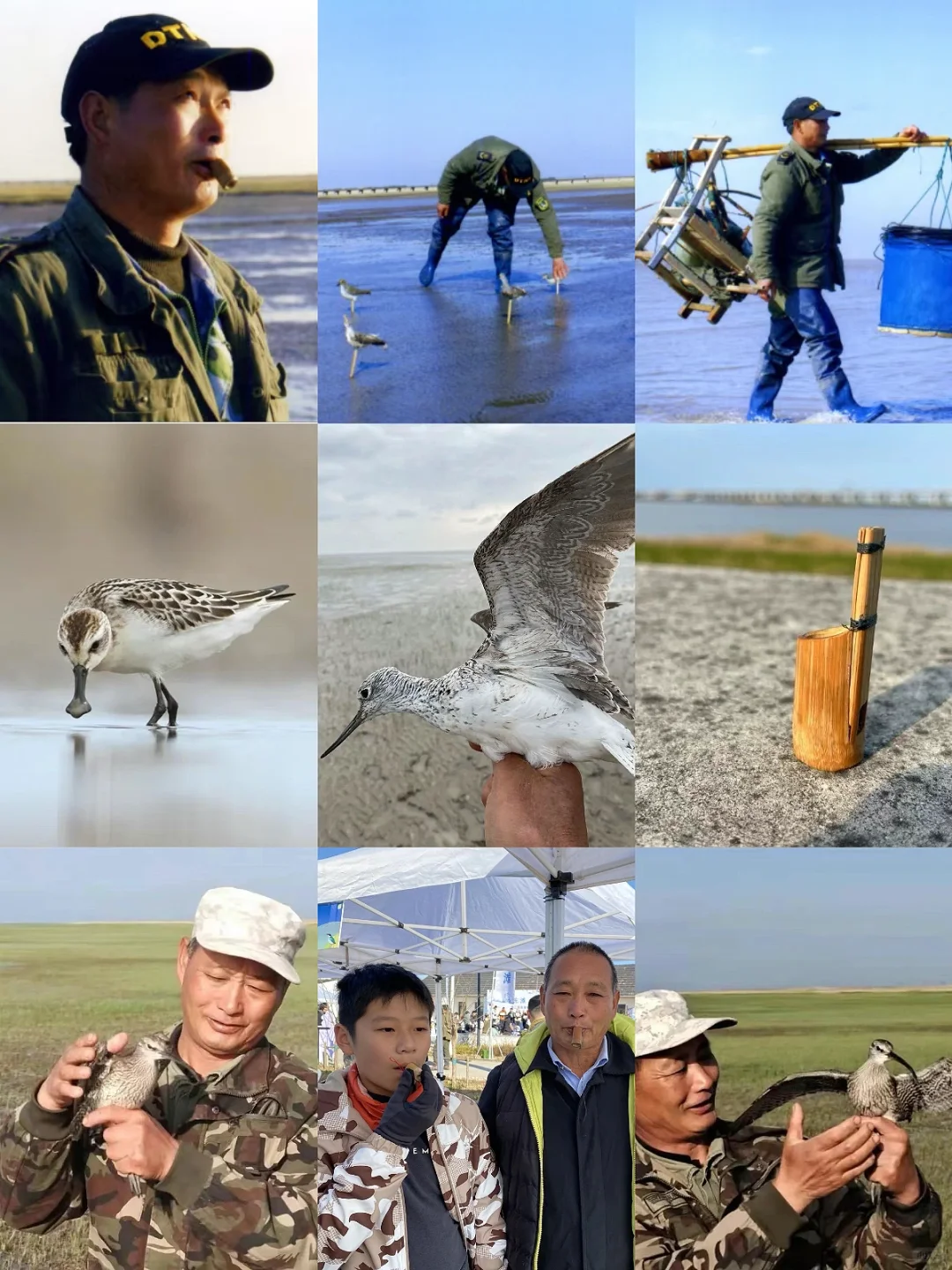 🌿 鸟哨：从捕鸟工具到非遗技艺🐦🎨 	 在清末民初，随着移民的迁...