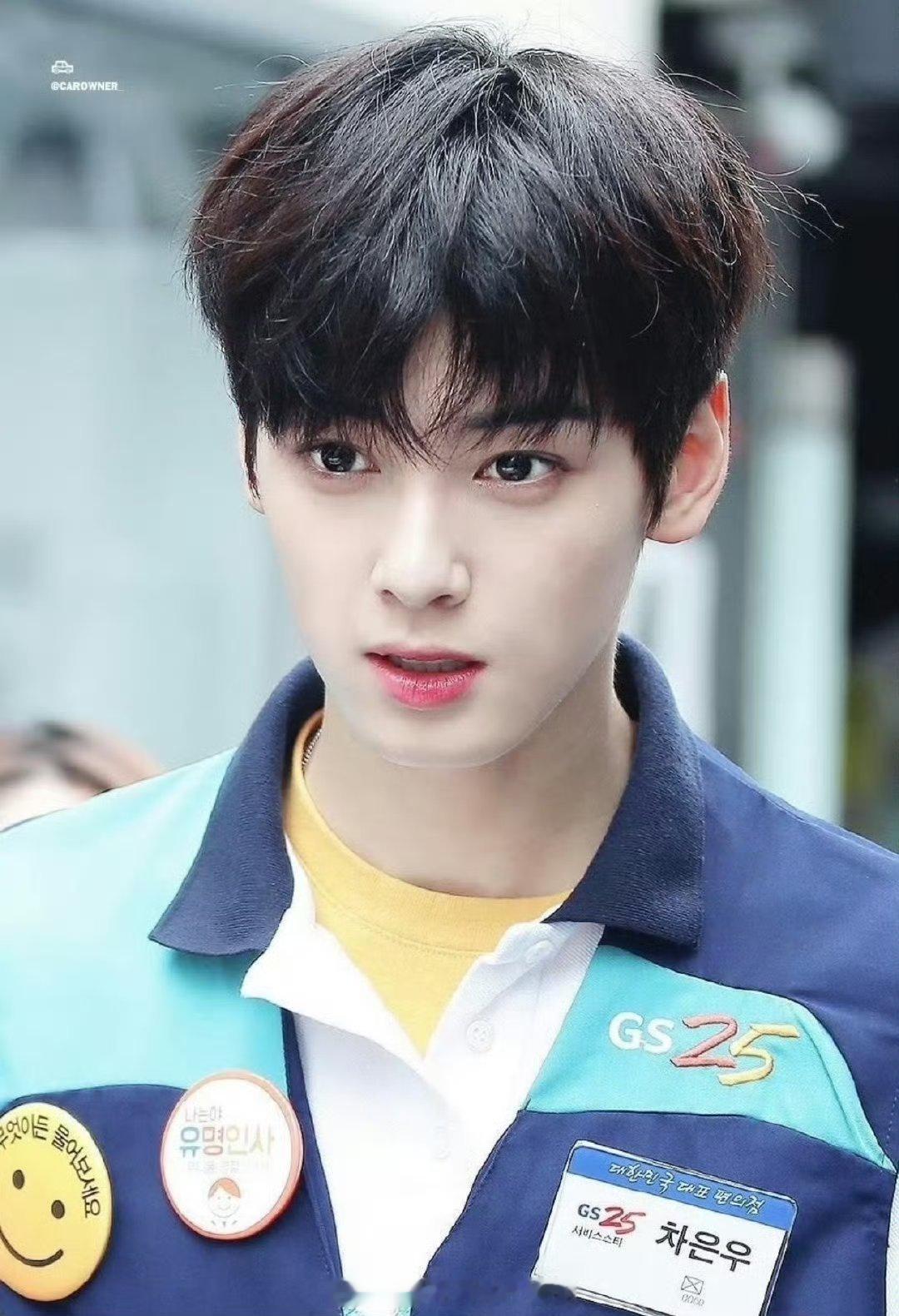 韩国国旗 车银优虽然但是这张脸真的是毫无代餐的存在了，一定是top当中的top 