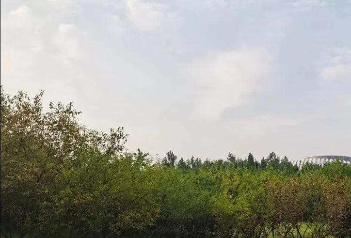 七绝.初秋偶感

秋未高兮气未爽，
沉沉暑闷仍嚣张。
凉风只是晨昏事，
伏尽炎消