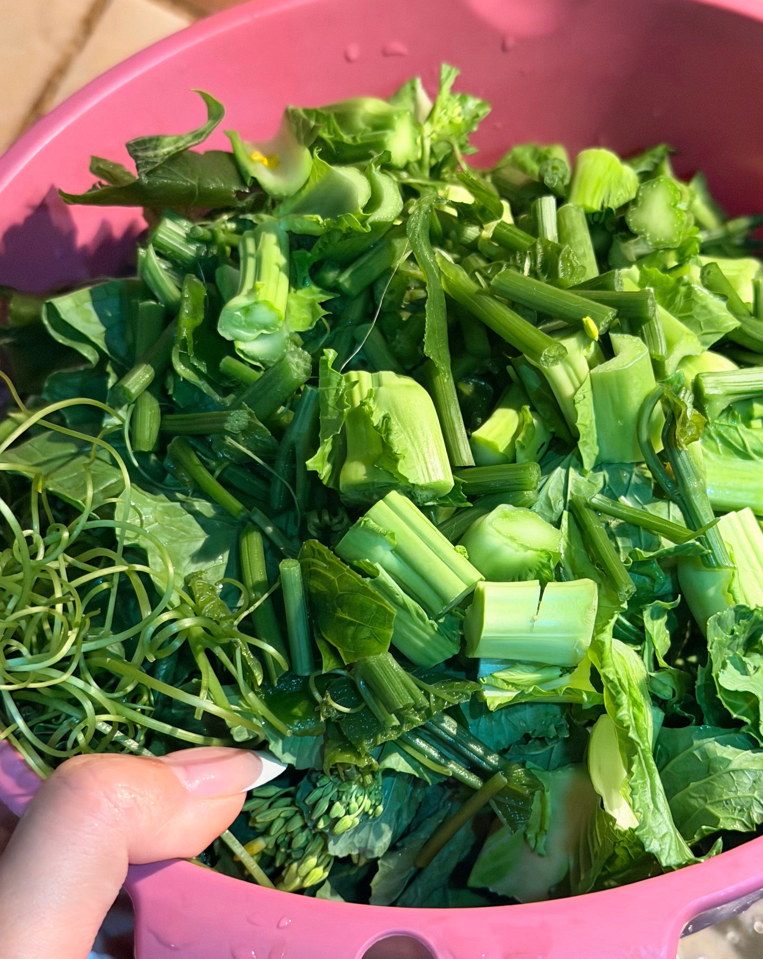 今晚的饭：炒杂菜约300克，做法是将4-5种蔬菜洗净开水汆烫到半熟，捞出滤干水分