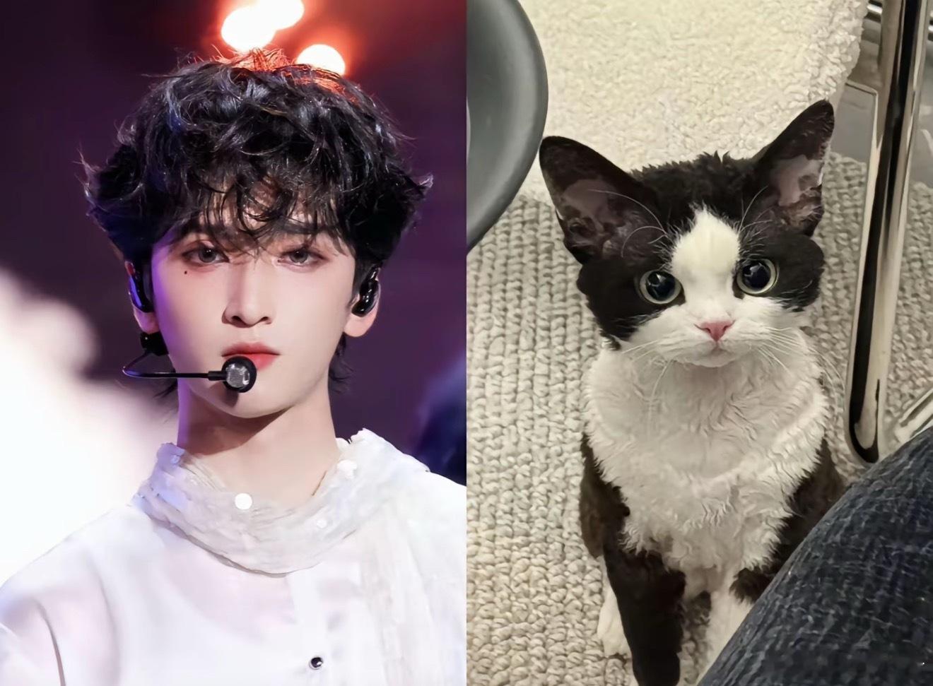 这两张图的区别是？ 