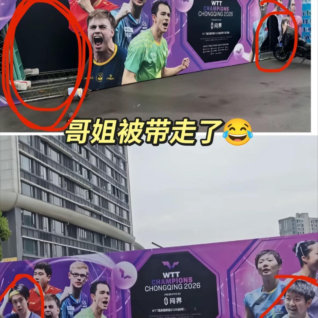 莎莎和王楚钦的头像突然被剪掉了！粉丝们直接喊话

姐妹们，我们就是舍不得让他们俩