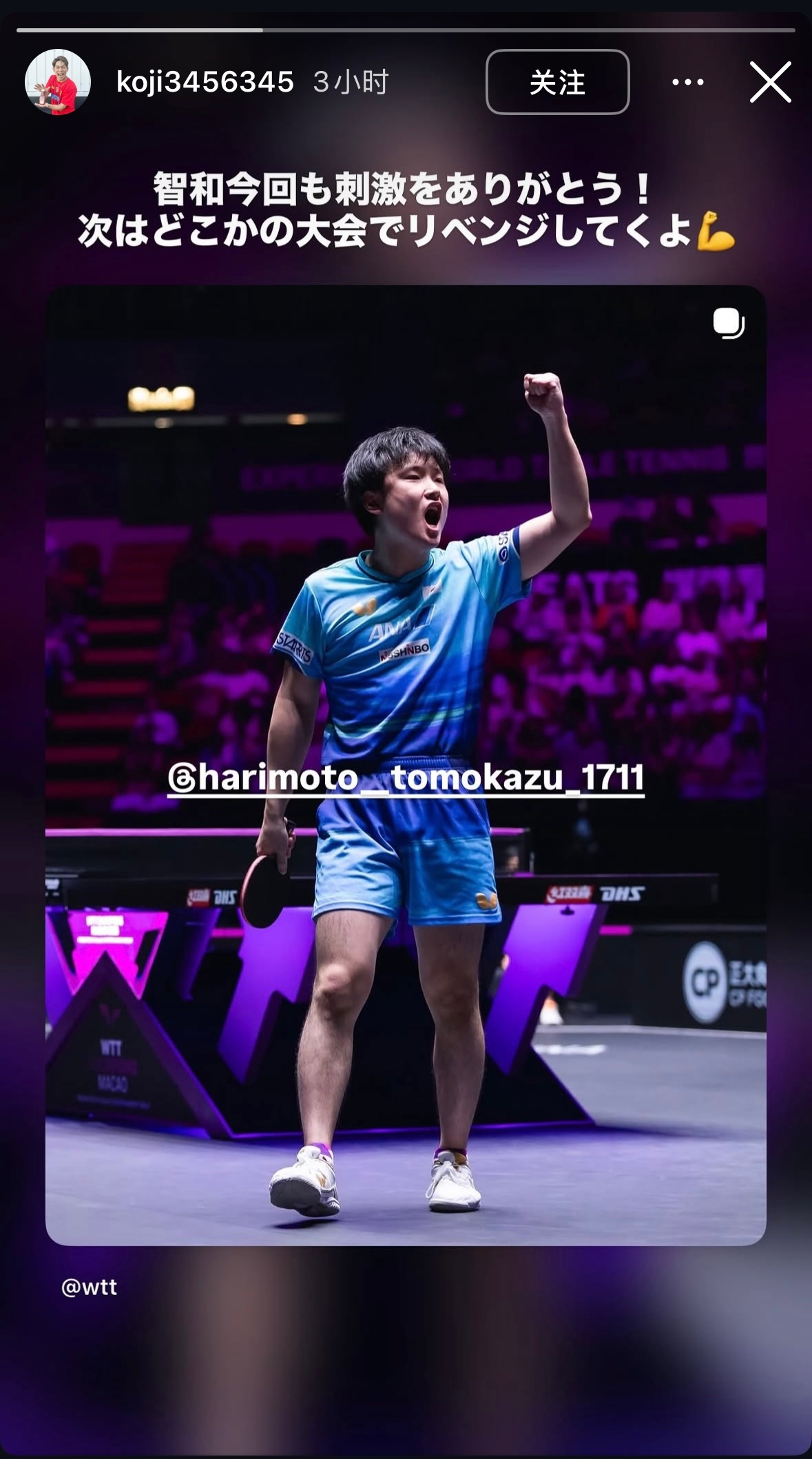 张本智和[超话]张本智和wtt澳门冠军赛2026 20260914Instagr
