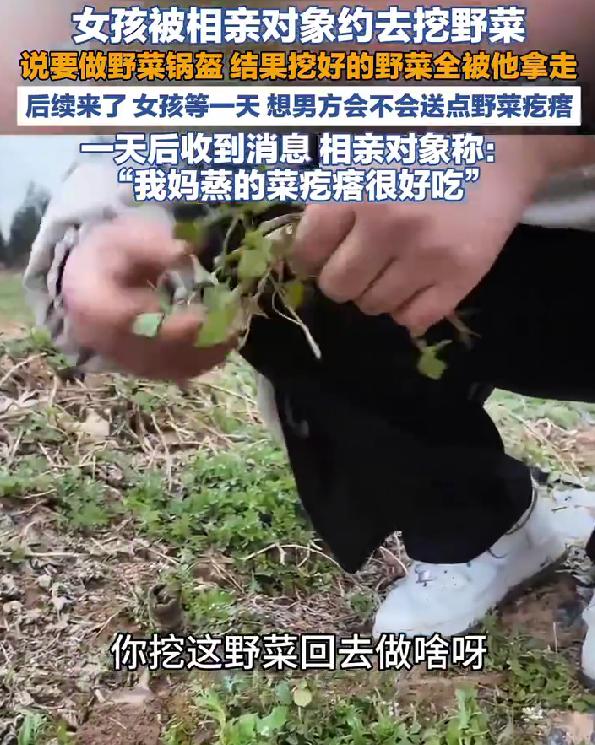 相亲约挖野菜，挖完全被男方拿走，后续回复气笑众人
刷到陕西咸阳这个相亲奇葩事，我