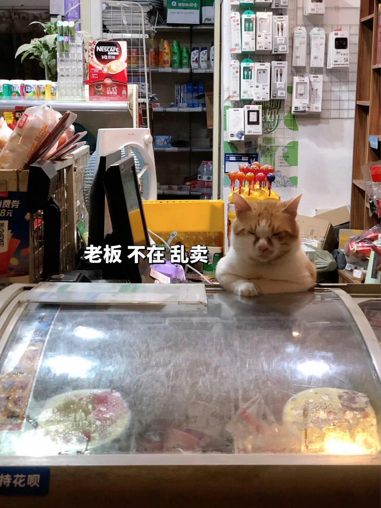 老板不在，全部乱卖 ​​​
