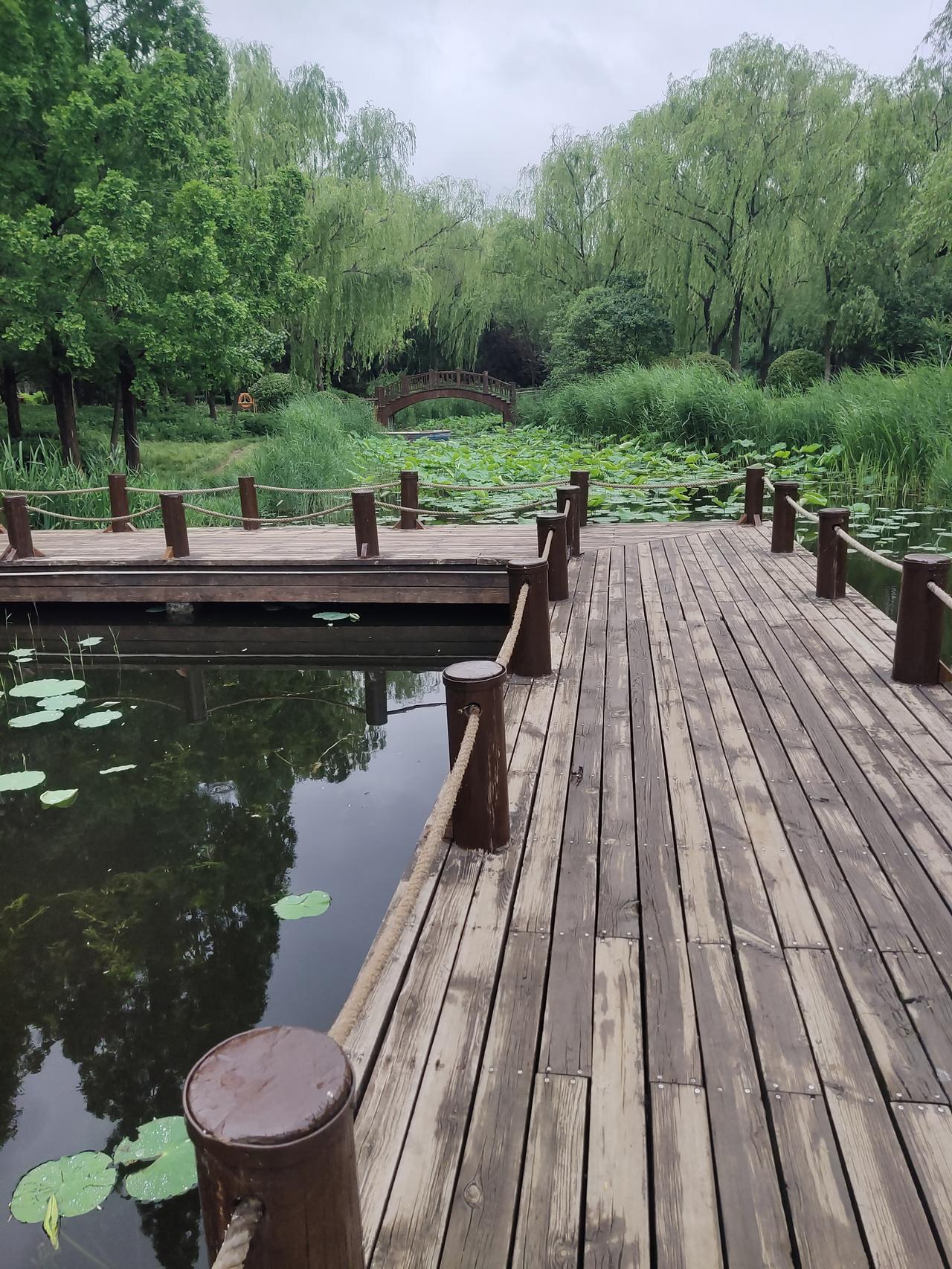 昨天下起了雨，气温也陡然下降。我没出门，便没及时添衣，没想到竟感冒了。症状是有点