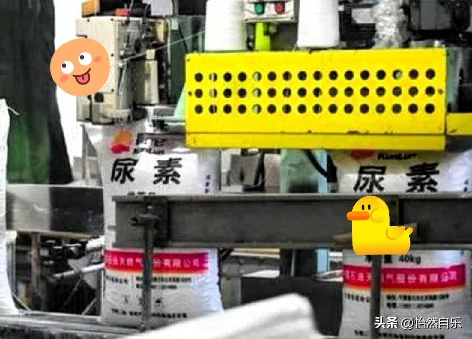 这蝴蝶效应简直离谱到家，看得我一愣一愣的。

以为是天然气危机，不料煤炭成了“救