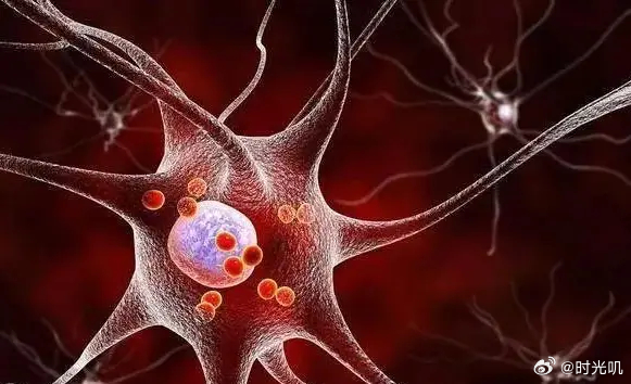 我国帕金森病治疗领域获重大突破近日，我国科研团队在帕金森病治疗领域取得重大突破，