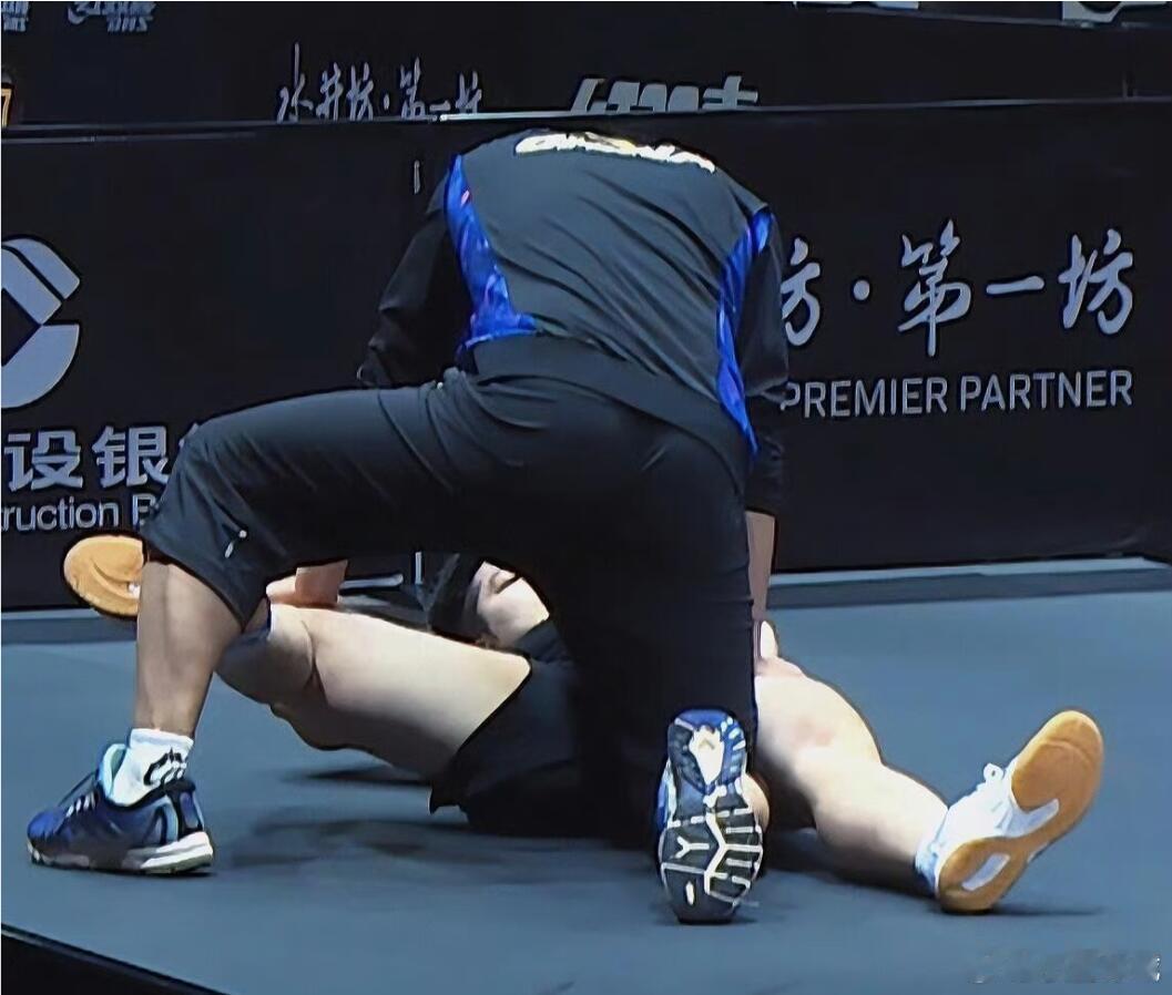 捕捉一只受训练熊 
