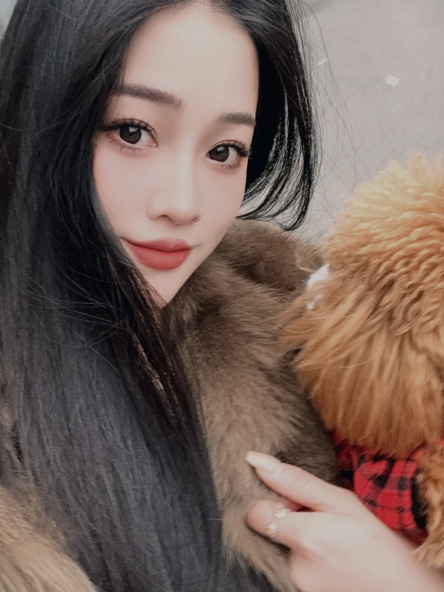 事与愿违，也是另一种解脱。
