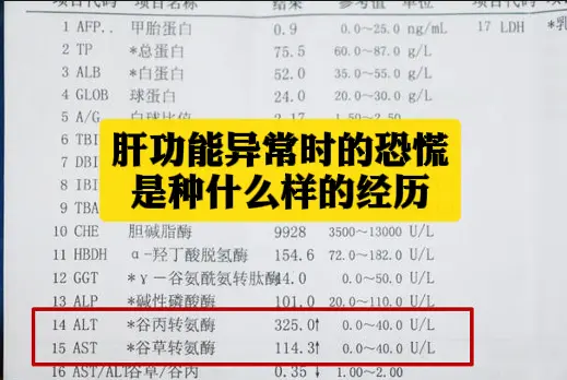 肝功能异常时的恐慌，是种什么样的经历？ 今天再来和大家聊聊天，门诊上经...