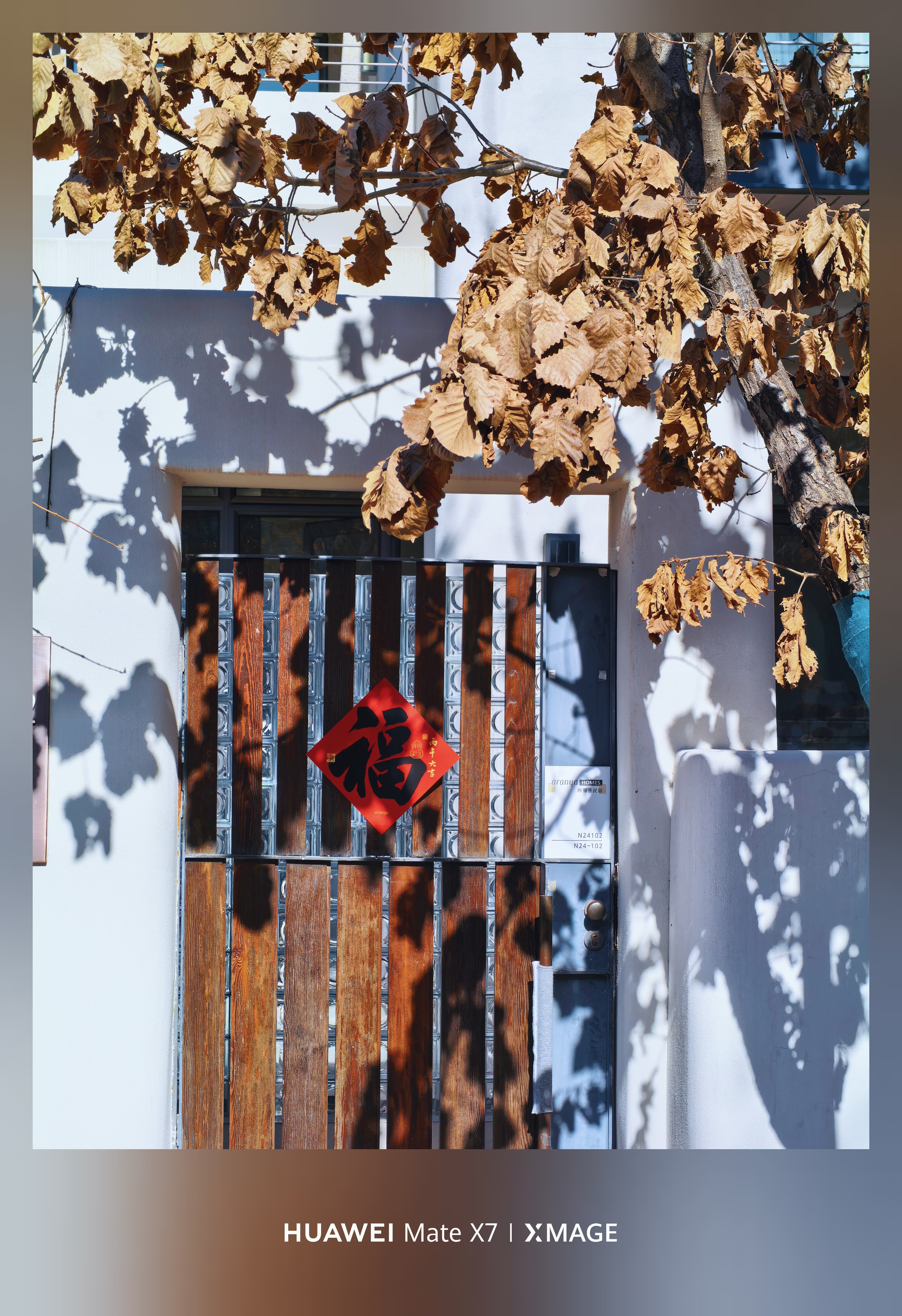 过年🧨，过得就是今天，你们都回家过年了吗？ 