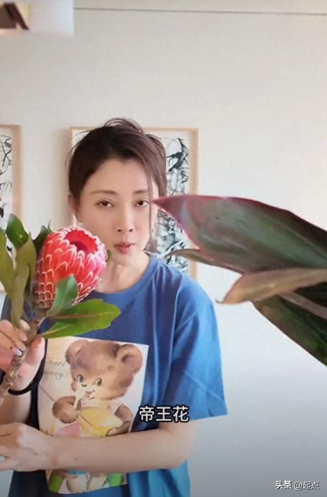 殷桃在家插花视频流出！私下生活状态，狠狠惊艳所有人